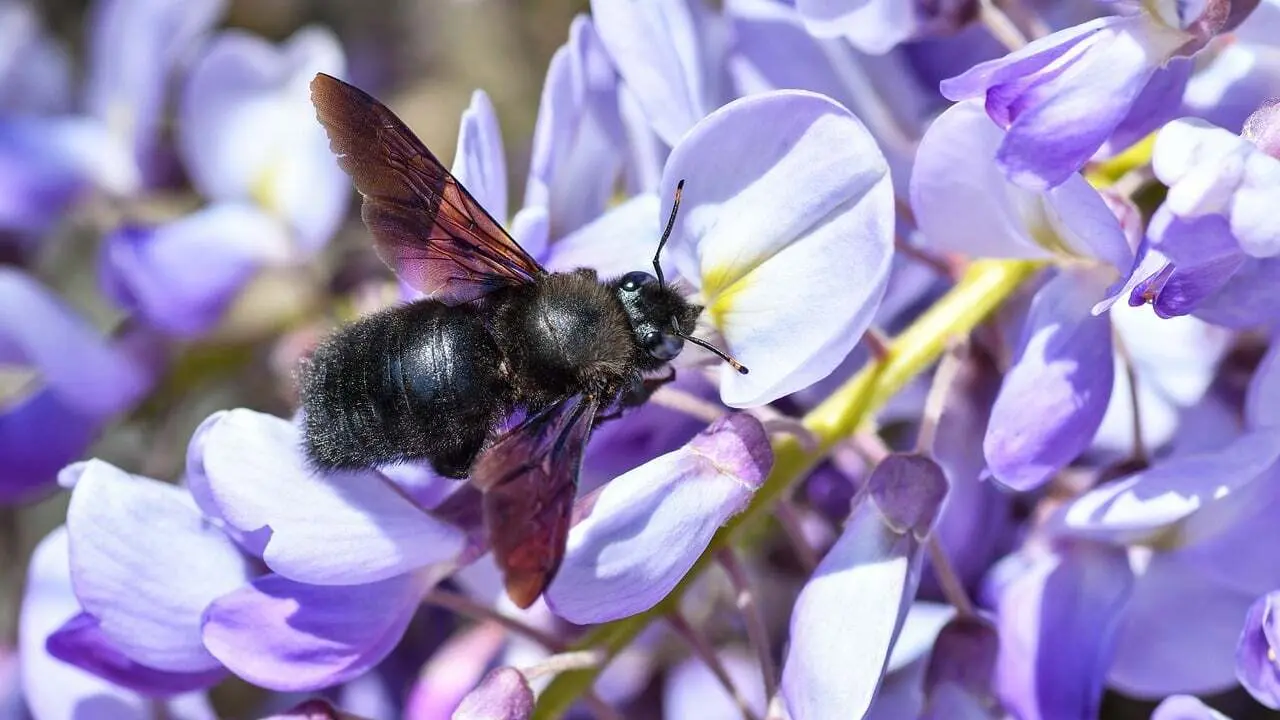 10 tegn på, at det er tid til at finde en tømrer i Svendborg